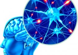 01-1_v-mozge-pri-epilepsiii-300x289